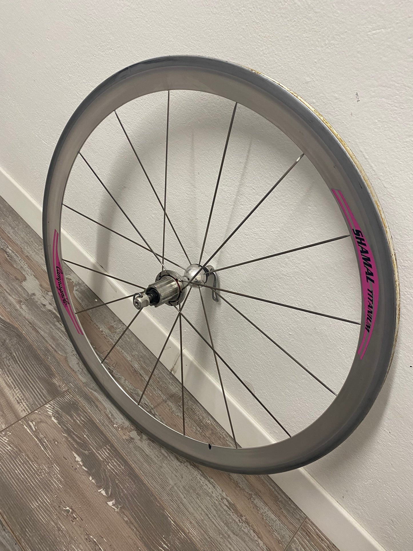 RUOTA POST CAMPAGNOLO SHAMAL TITANIO