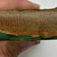 CATENA ELIOS TIPO 104 VINTAGE